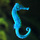 11d_small