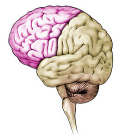 183e7942