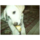 11e09708_small
