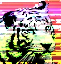 VoQn