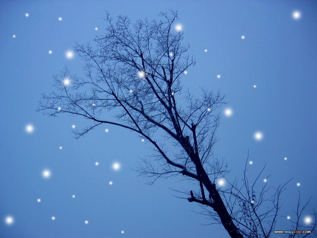 WinterisWonderful