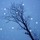 WinterisWonderful