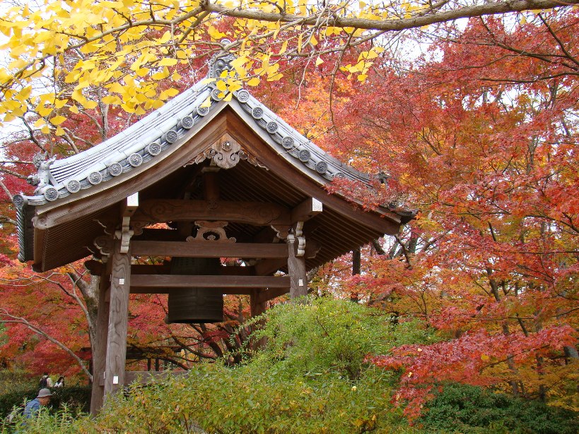 nachimiya