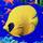 pikapikahikaru