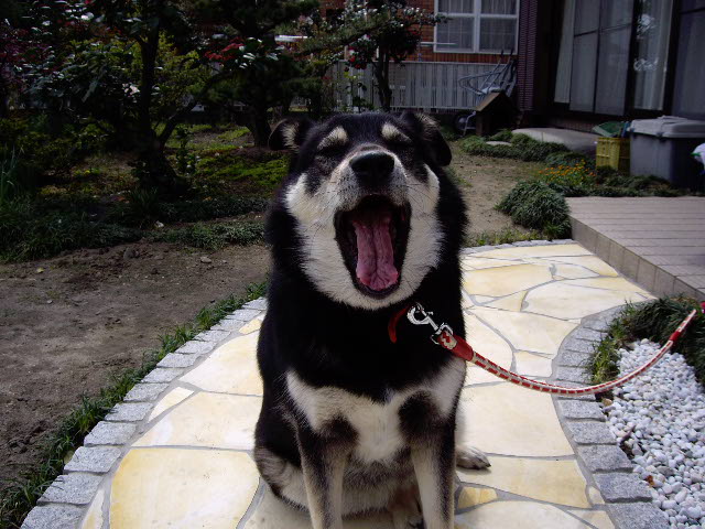 shiranue